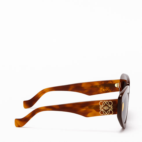LOEWELoewe Anagram LW40160I Brown Acetate Women's Sunglasses – 51 mm Geometric Cat - EyeEYEWEAREcecile