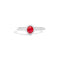 RECARLORecarlo R33CG251_RB Women's Ruby & Diamond Ring - 18K White GoldJEWELRYEcecile
