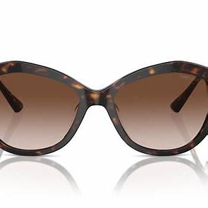 Jimmy Choo JC 5013U Women's Sunglasses - 55mm, Brown Gradient Frame with Brown Gradient Lenses