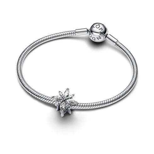 PANDORAPandora Sparkling North Star Charm 793591C01 - Sterling Silver, Cubic ZirconiaBIJOUXEcecile
