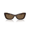 DOLCE & GABBANADolce & Gabbana DG4467B 502/73 Women's Sunglasses - Havana Frame, Brown LensesEYEWEAREcecile