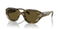 EMPORIO ARMANIEmporio Armani EA4230U 614873 Men's Sunglasses - Shiny Striped Green Frame, Dark Brown Lenses, 48mmEYEWEAREcecile