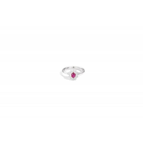 Recarlo R77CC001/RB Women's Ruby and Diamond Ring - 18K White Gold