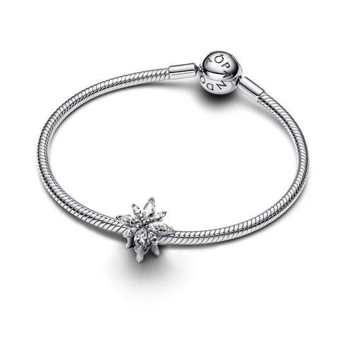 Pandora Stella polare scintillante 793591C01 - Argento, zirconia cubica