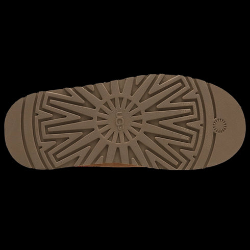 UGG Tazz II Châtaigne Femme