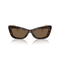 DOLCE & GABBANADolce & Gabbana DG4467B 502/73 Women's Sunglasses - Havana Frame, Brown LensesEYEWEAREcecile