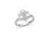 Miluna PLI1718 Unica Bouquet Ring - Sterling Silver with Three Oriente Pearls and White Topaz