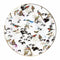 Roberto Cavalli Garden's Birds Service Plate 32 cm