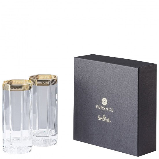 Rosenthal Versace Medusa D'Or Long Drink Glass