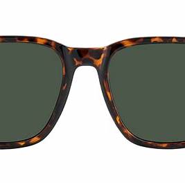 Carrera 300/S 086-QT Unisex Sunglasses - Havana Frame, Green Lenses