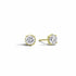 Recarlo E01PX001_G027 18K Yellow Gold Diamond Stud Earrings