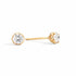 Recarlo E01PX001_G016 18K Yellow Gold Diamond Stud Earrings