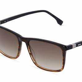 Modello Hugo Boss 1434_S